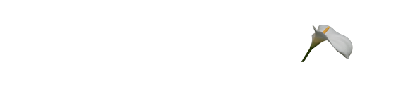 simply-cremation-plan-logo